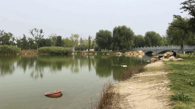 图片2.gif