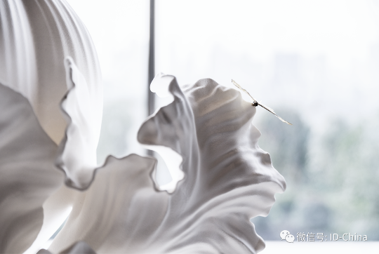 图片24.png