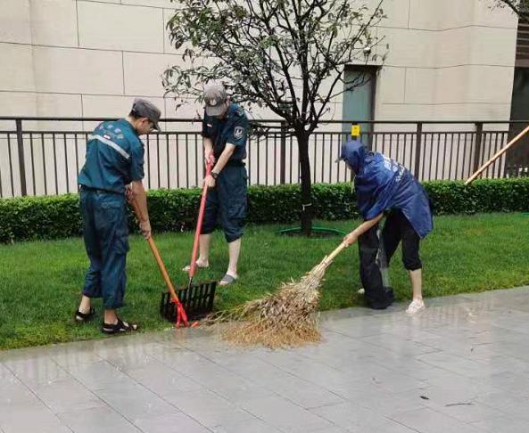 图片35.jpg
