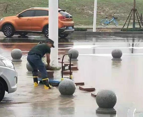 图片37.jpg