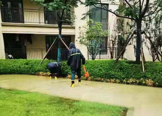 图片38.jpg