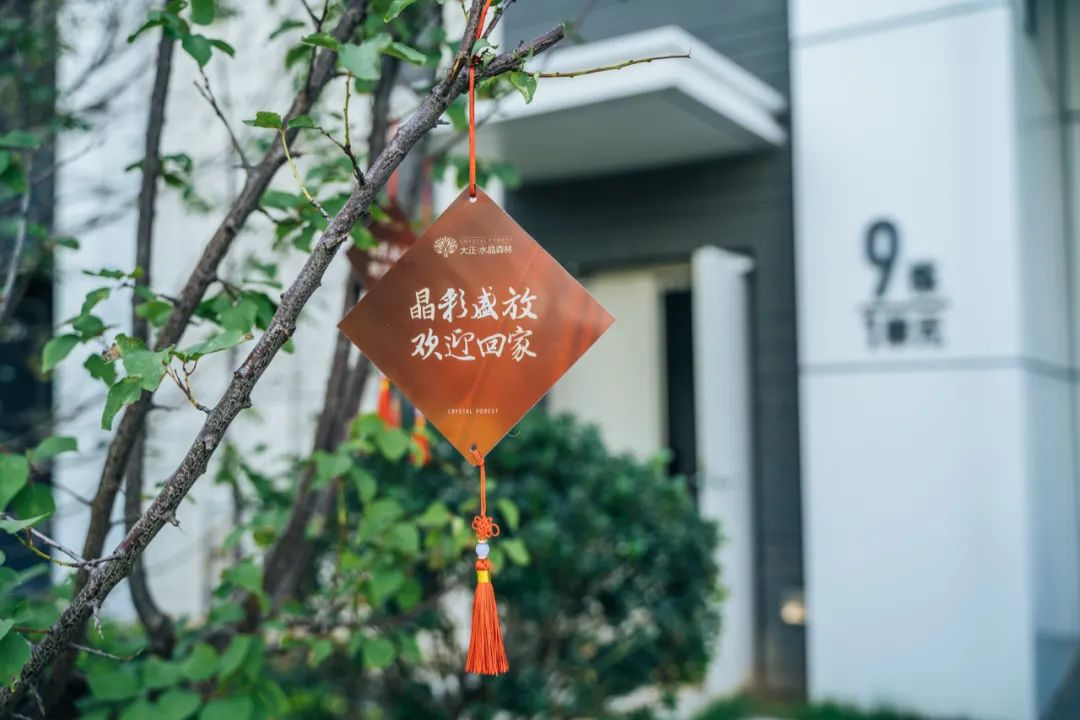 图片17.png