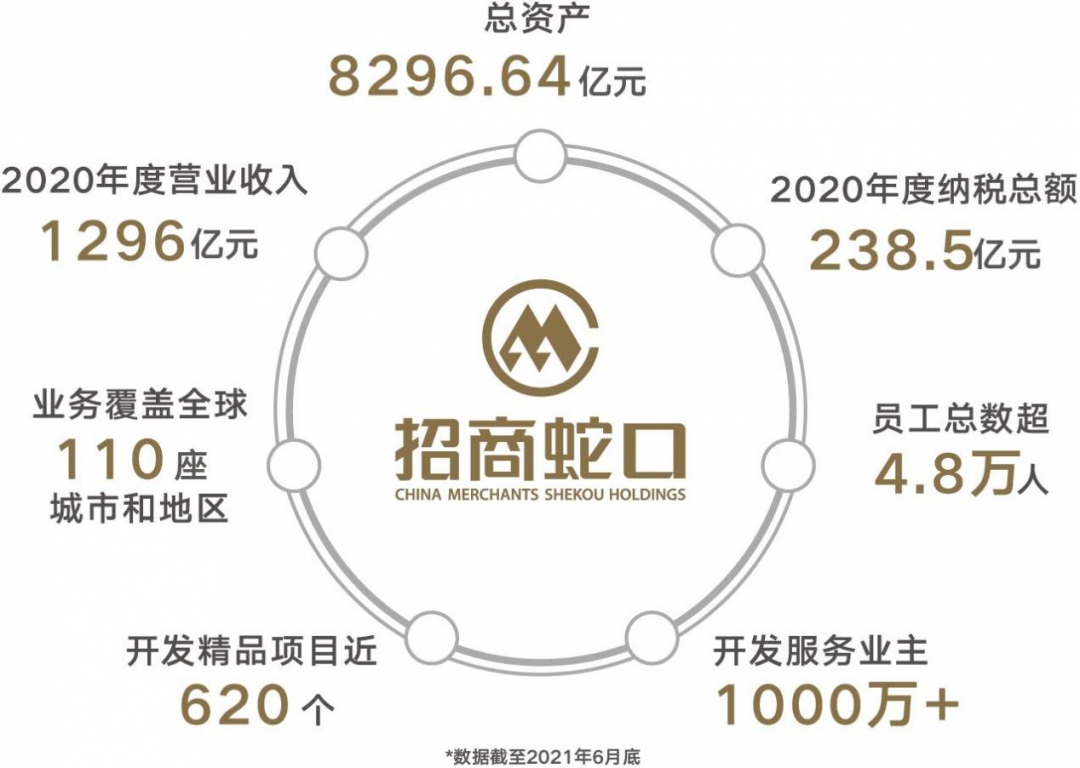 图片 11.png