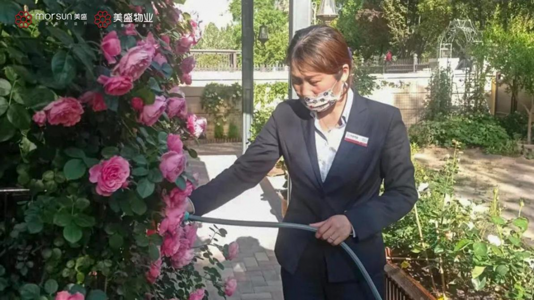 图片 43.png