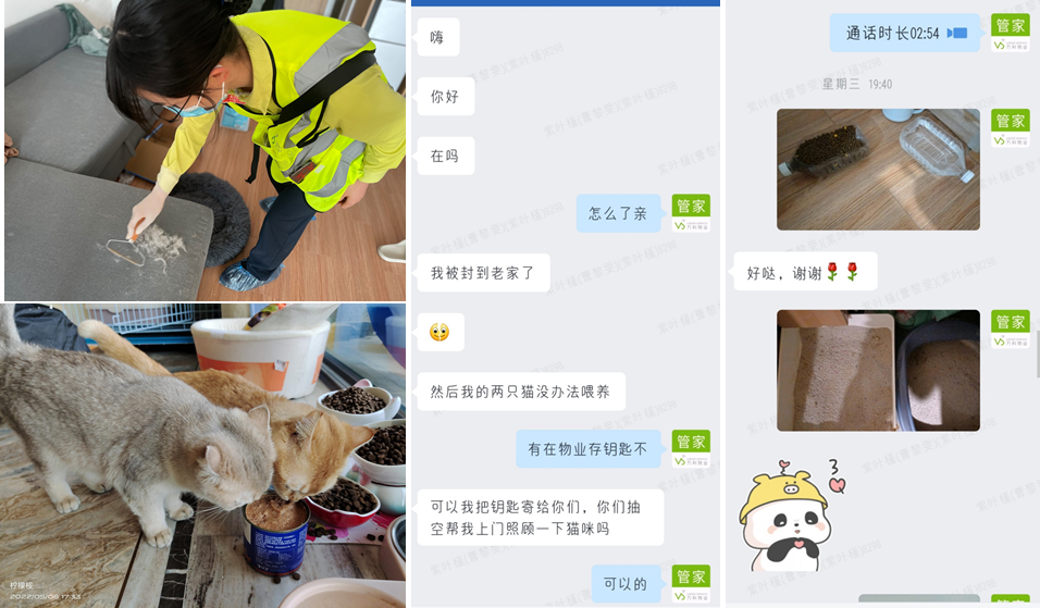 图片 32.png