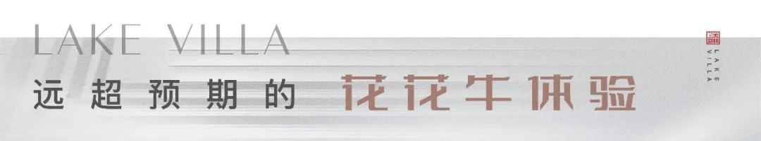 图片14.png