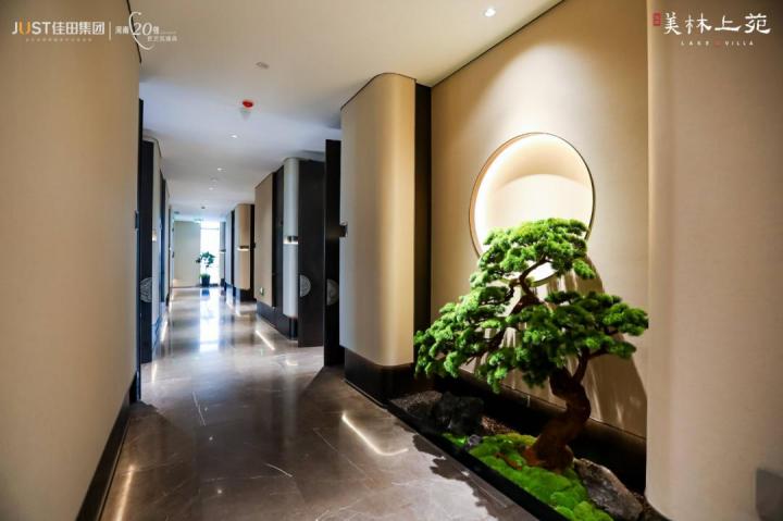 图片 12(1).jpg