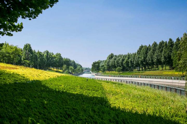 图片11.jpg