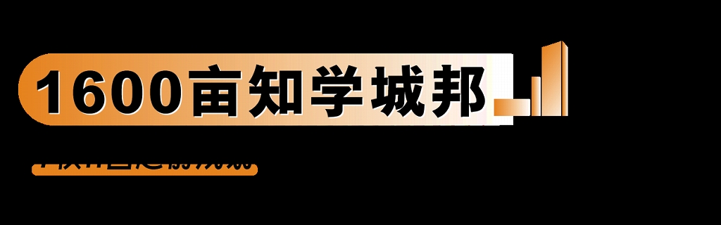 图片13.jpg