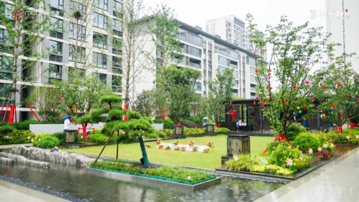 图片 13.png