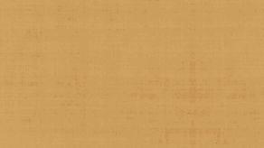 图片 4.png
