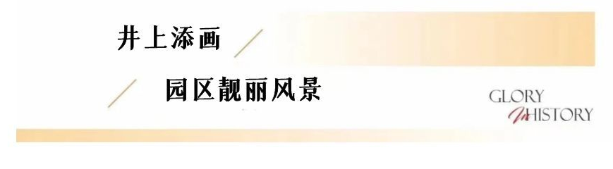 图片 10.png
