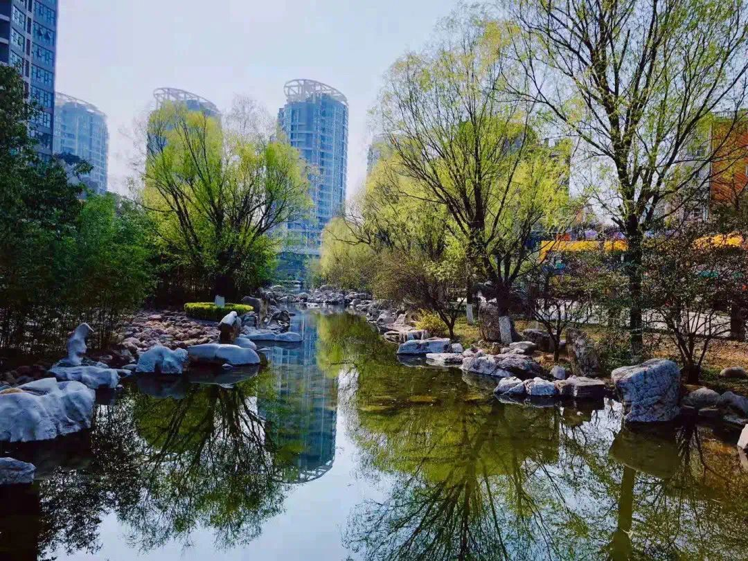 图片 11.png